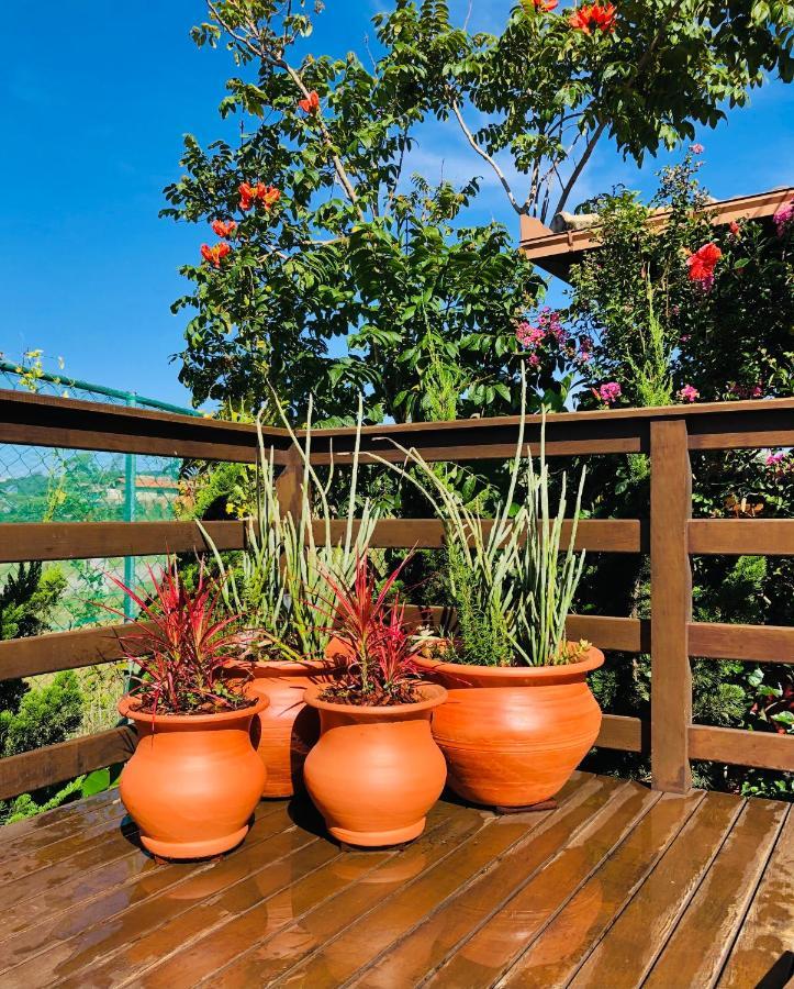 Vila Residencial Vila Suel Praia do Rosa Exteriér fotografie